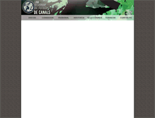 Tablet Screenshot of ligadefutbolcanals.com.ar